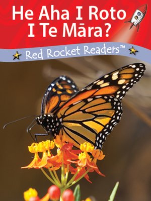 cover image of He Aha I Roto I Te Mara? (What's in the Garden?)
